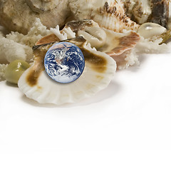 Image showing Sea shells and earth like a pearl