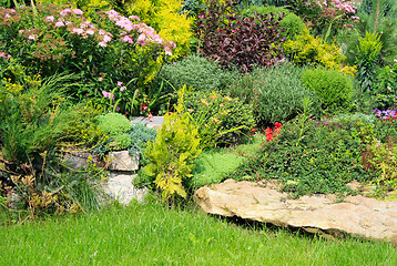 Image showing Flowers in the park