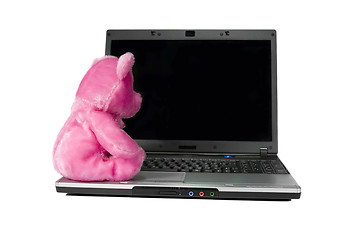Image showing Pink bear toy on a laptop. Isolated white background and empty d