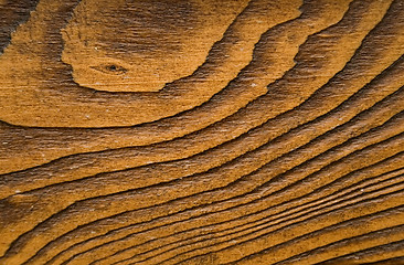 Image showing Wood macro texture