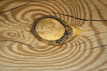 Image showing Old wood texture