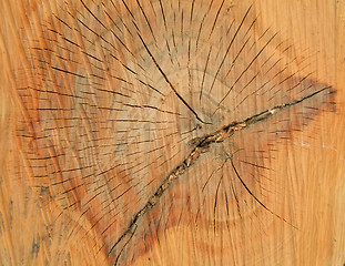 Image showing Old wood texture