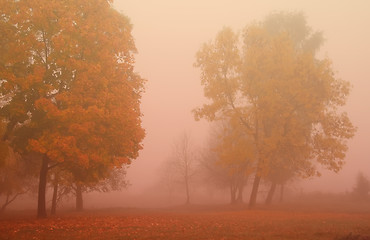 Image showing Misty autumn morning