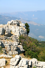 Image showing Top of the mountain with green forest above