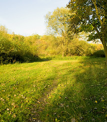 Image showing Sunset forest path with rays of light