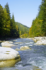 Image showing River in the forest