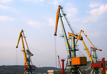 Image showing Sea crane