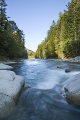 Image showing River in the forest