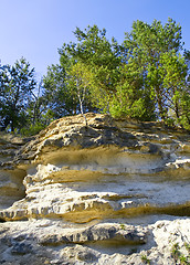 Image showing Mountain wall covered with trees, moss and rocks