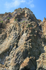 Image showing Mountain wall covered with trees, moss and rocks