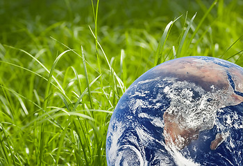 Image showing Green grass and earth image