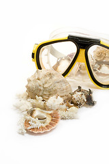 Image showing Yellow diving mask with sea shells