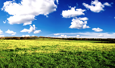 Image showing Green grass and blue sky with white clouds