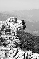 Image showing Top of the mountain with green forest above