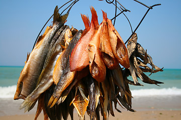 Image showing Fish with sea on background