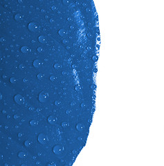 Image showing Blue leaf with drops of water isolated