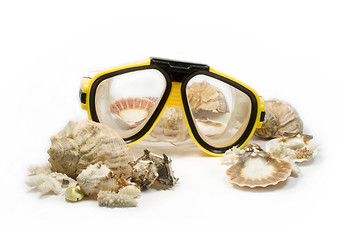 Image showing Yellow diving mask with sea shells