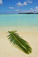 Image showing tropical beach