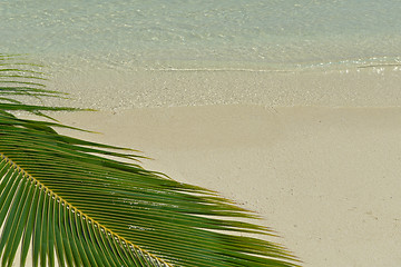 Image showing tropical beach