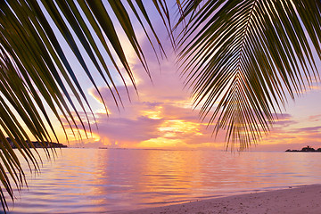 Image showing tropical beach