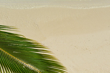 Image showing tropical beach