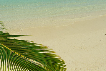 Image showing tropical beach