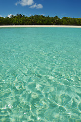 Image showing tropical beach