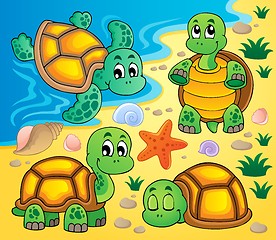 Image showing Image with turtle theme 2