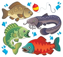 Image showing Various freshwater fishes 2