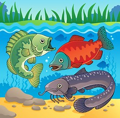 Image showing Freshwater fish theme image 3