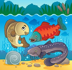 Image showing Freshwater fish theme image 5