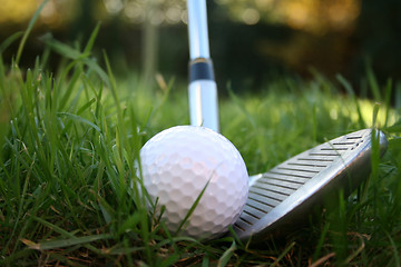 Image showing Driver about to hit a golf ball from the rough