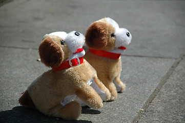 Image showing Toy dogs