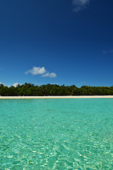 Image showing tropical beach