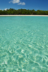 Image showing tropical beach