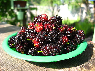 Image showing ripe dark berries of a mulberry on a plate