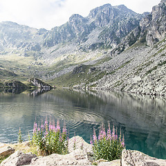 Image showing Alpine lake