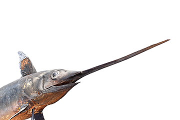 Image showing swordfish in a museum