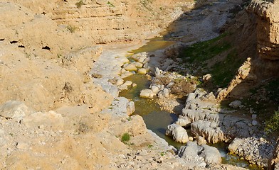 Image showing Wadi Qelt or Nahal Prat creek in Judean Desert near Jericho  