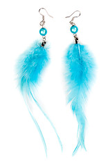 Image showing A pair of earrings