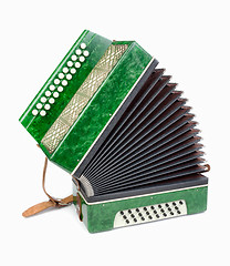 Image showing Green Accordion, isolated on white background