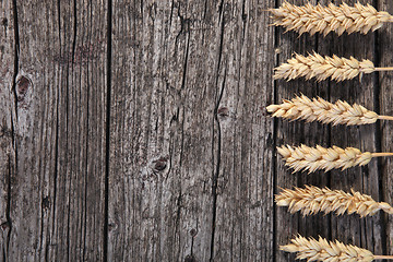 Image showing Ears of wheat on a wood background