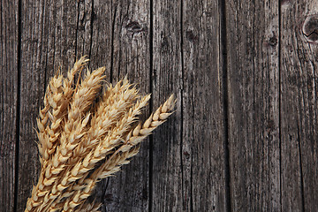 Image showing Bunch of ripe golden wheat