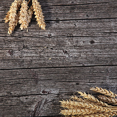 Image showing Bunches of golden wheat on wood