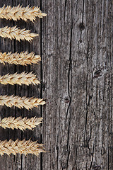 Image showing Ears of wheat on old stained wood