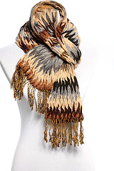 Image showing Mannequin in a warm winter scarf