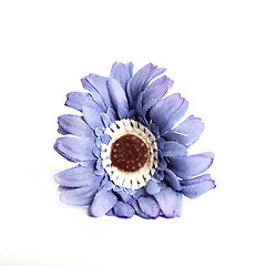 Image showing Decorative blue flower