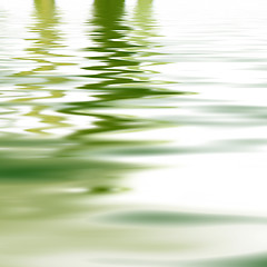 Image showing Reflection of greenery in water