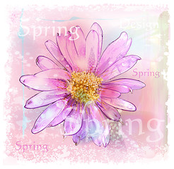 Image showing pink flower with dew drops