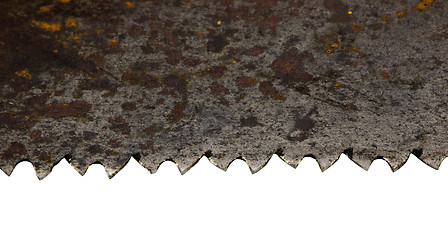 Image showing rusty retro metal hand saw blade closeup on white 